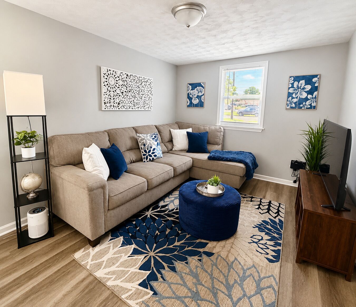 Smart TV, DVD player