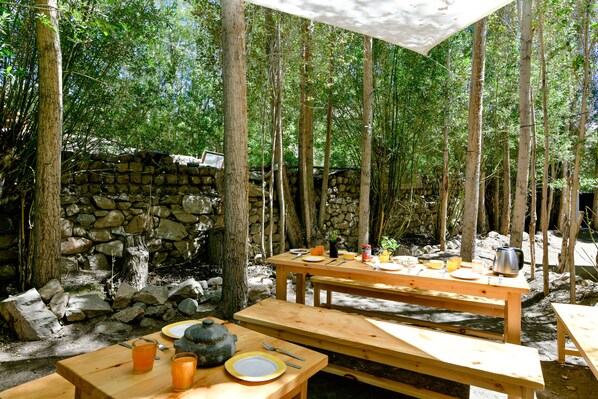 Garden - Raybo Hostel (Leh)