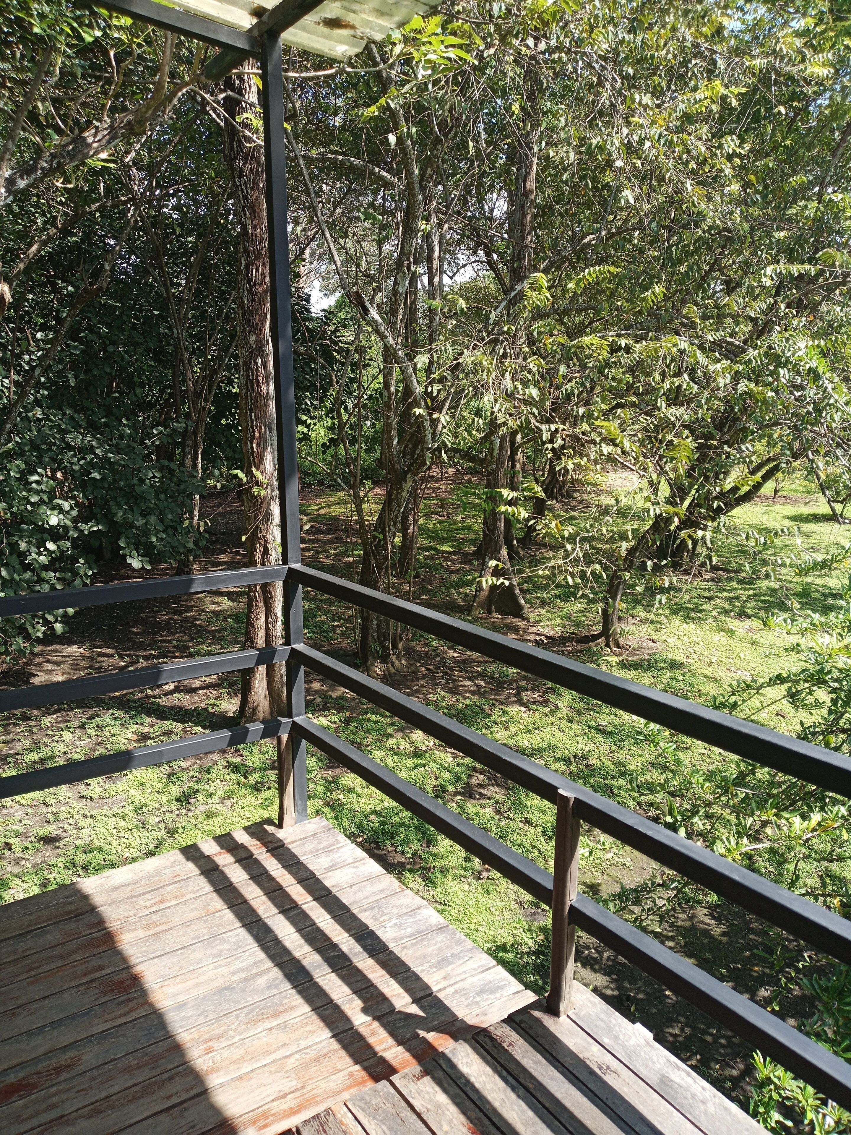 Una terraza de madera con barandillas metálicas que da a un área verde con árboles.