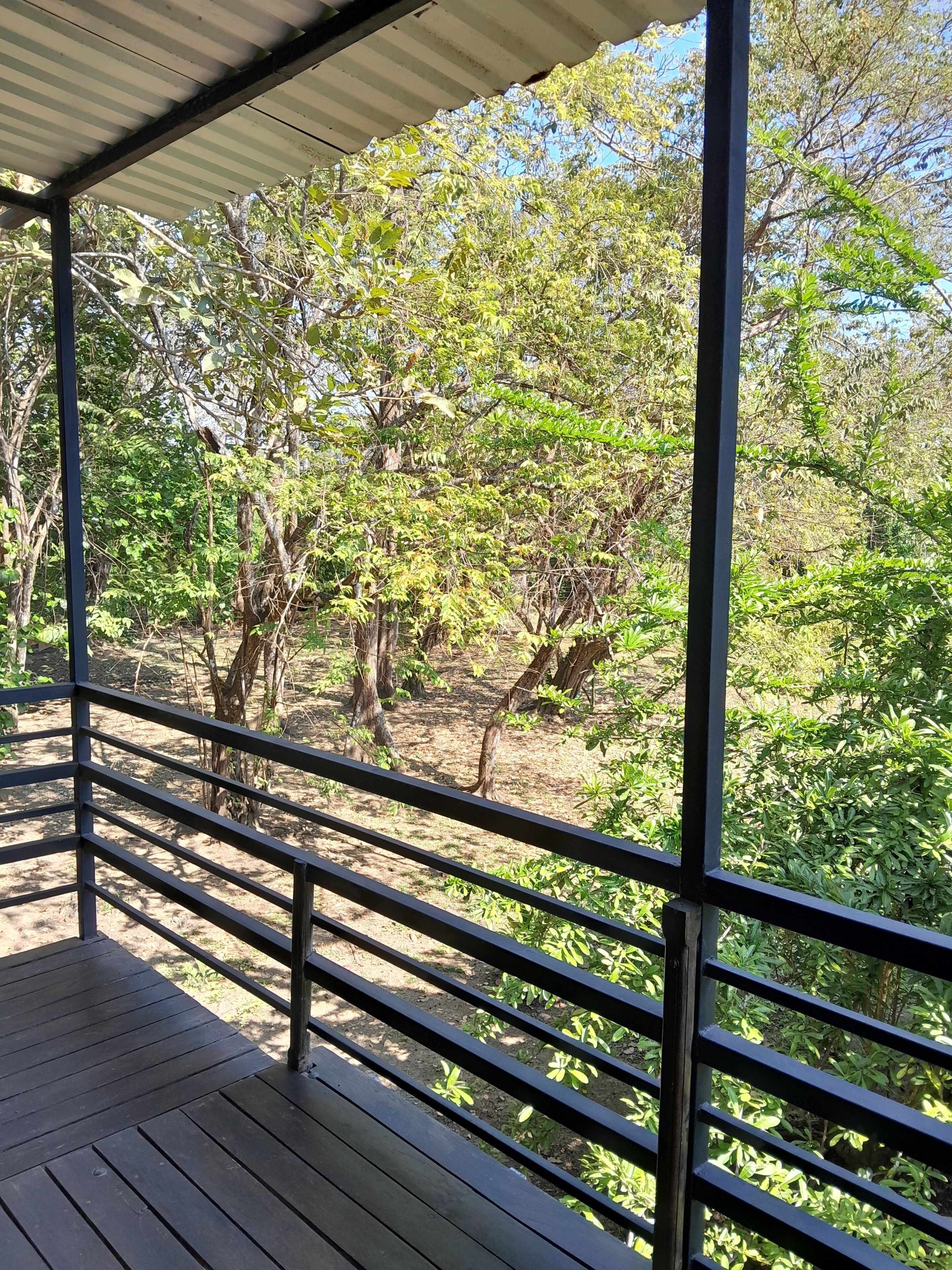 Casa na árvore família | Terraço/pátio