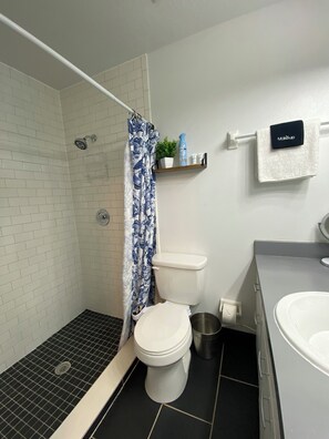 Combined shower/tub, hair dryer, bidet, towels