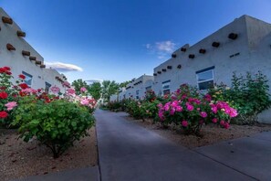 Jardines del alojamiento