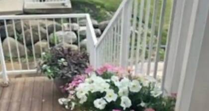 Entire 3 Bedroom with Fireplace - sleeps 12