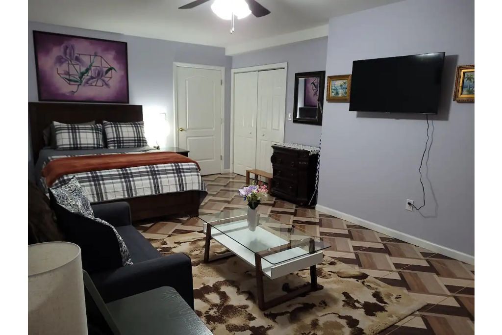 One bedroom Suite. Close access To NY/MetLife.