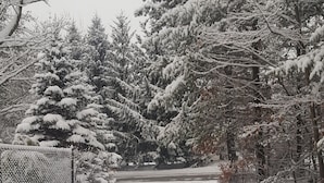 Un paysage enneigé, avec une clôture en treillis métallique et des arbres chargés de neige.