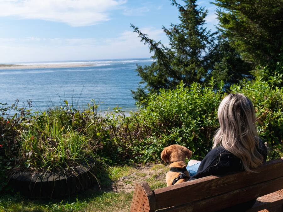 A woman and a dog sitting on a bench overlooking a beach with a view of the ocean.