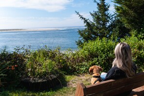 A woman and a dog sitting on a bench overlooking a beach with a view of the ocean.