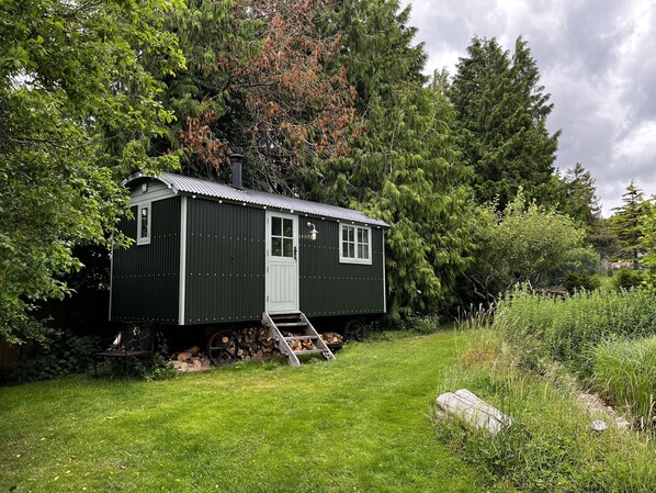 Una pequeña cabaña de madera verde oscuro con una puerta y ventanas blancas, rodeada de exuberante vegetación y árboles.