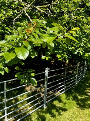 A metal fence with a metal gate, surrounded by green foliage and grass. - The Crooked Gate - Luxury Romantic Getaway (Maidstone)