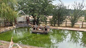 Een vijver met eenden, een houten eendenhuis en een omheind gebied met bomen.