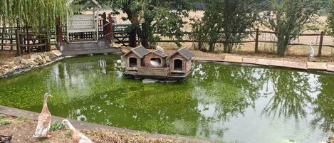 المنطقة المحيطة بالمنشأة