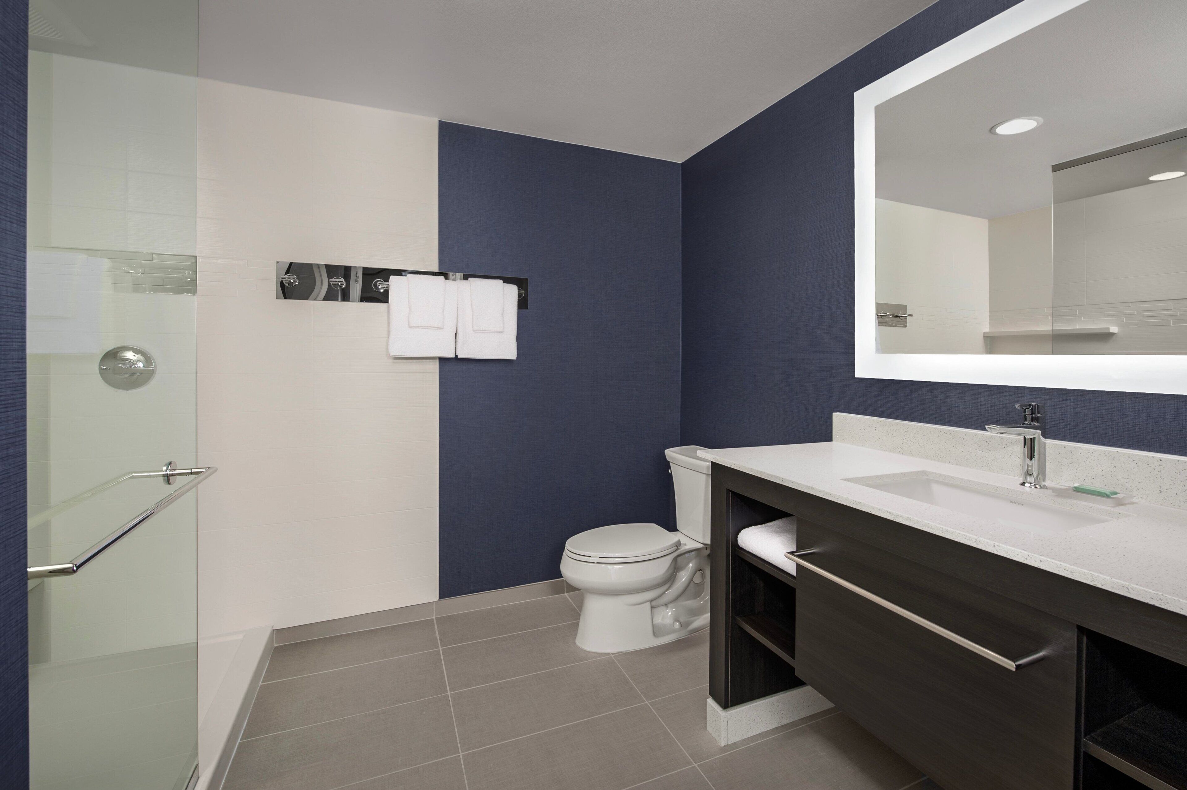 A modern bathroom with a glass shower enclosure, a white toilet, and a dark vanity with a large mirror.