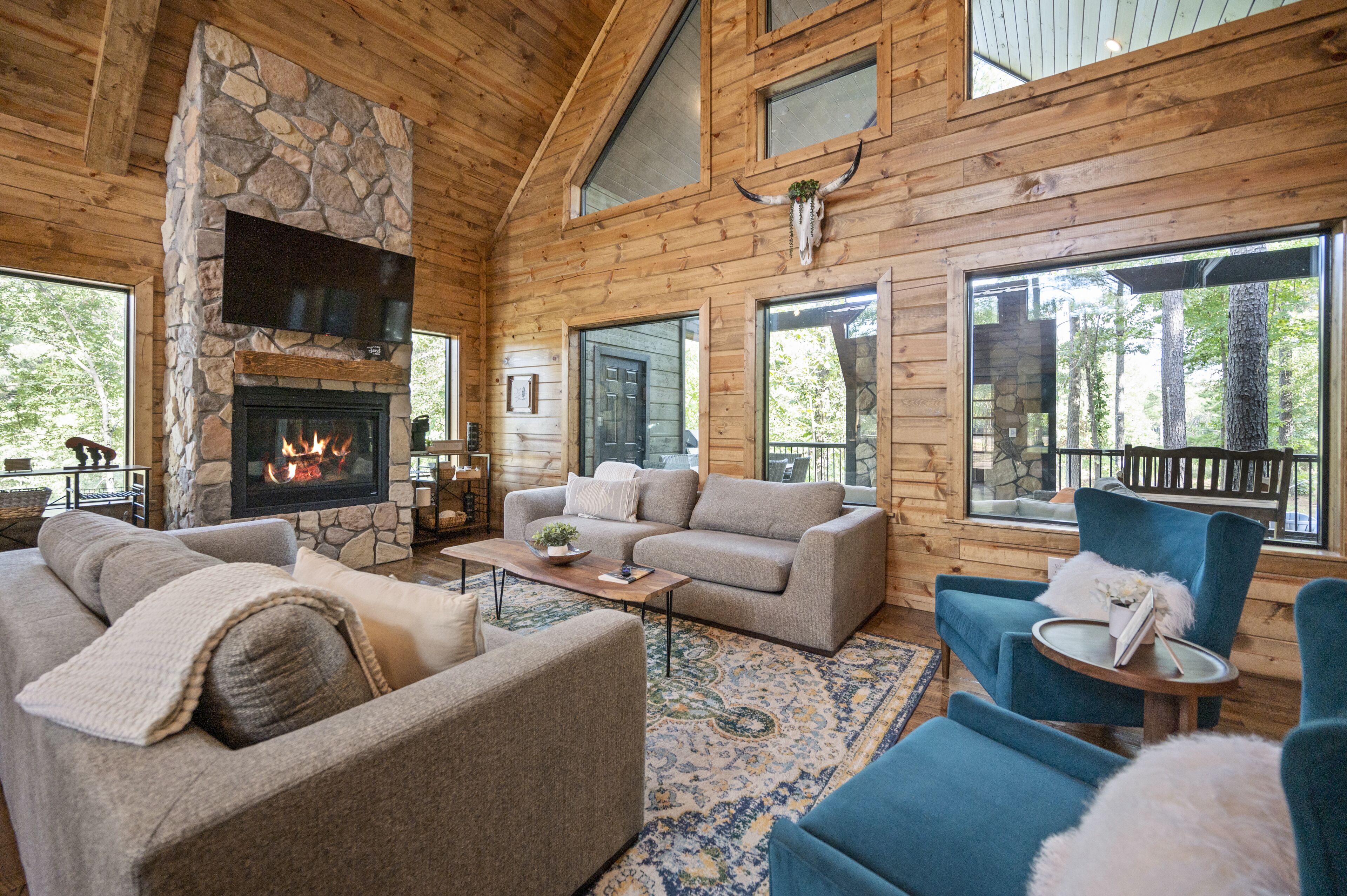 Smart TV, fireplace, video games, books