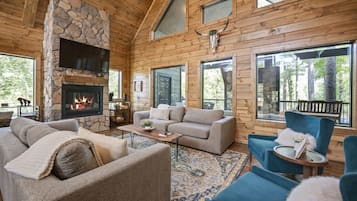 Smart TV, chimenea, videojuegos y libros