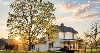 Private Farm. Located between New River Gorge and Summersville Lake.
