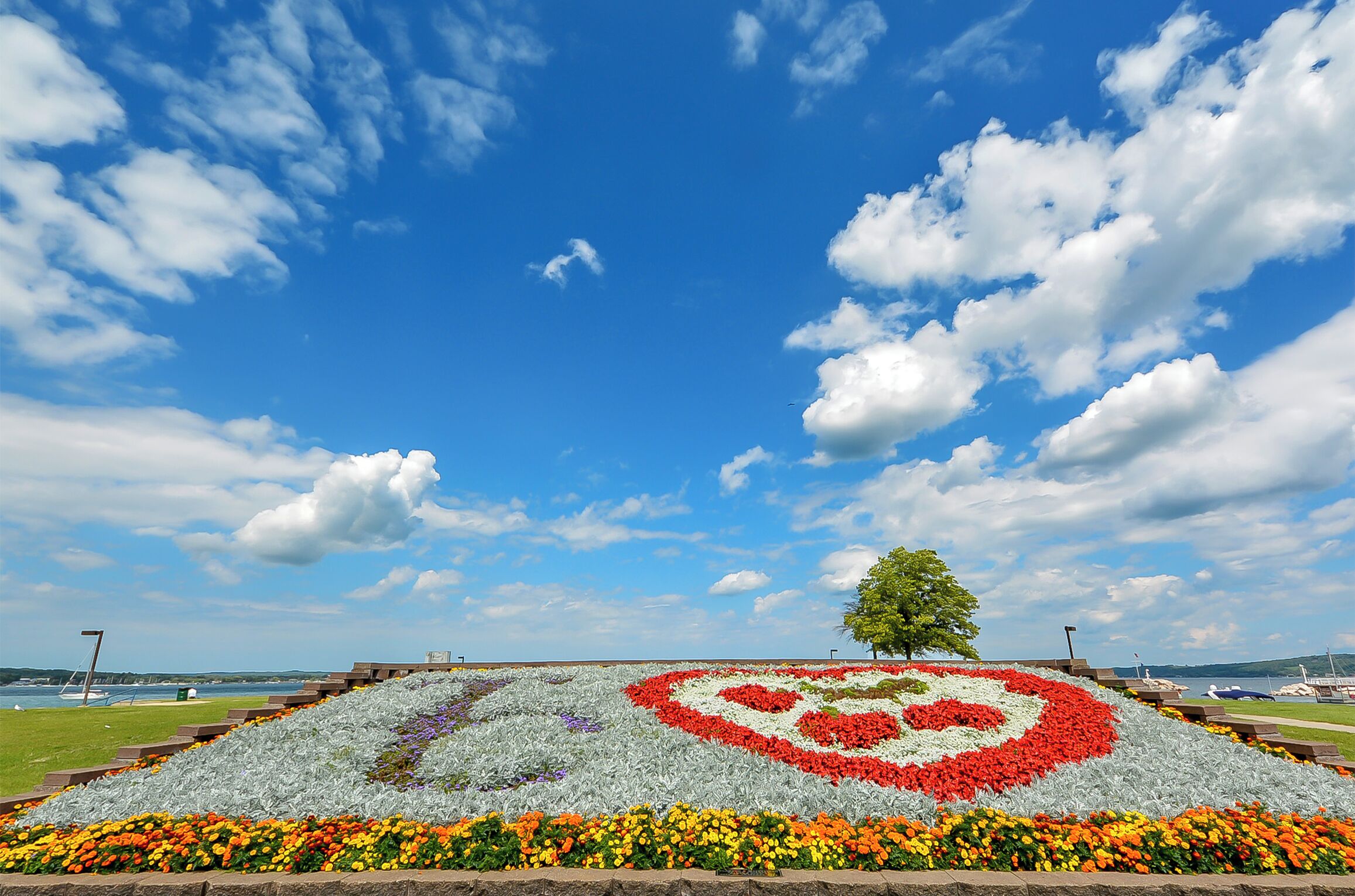 A flower garden with a heart-shaped design in the center, surrounded by various colorful flowers.
