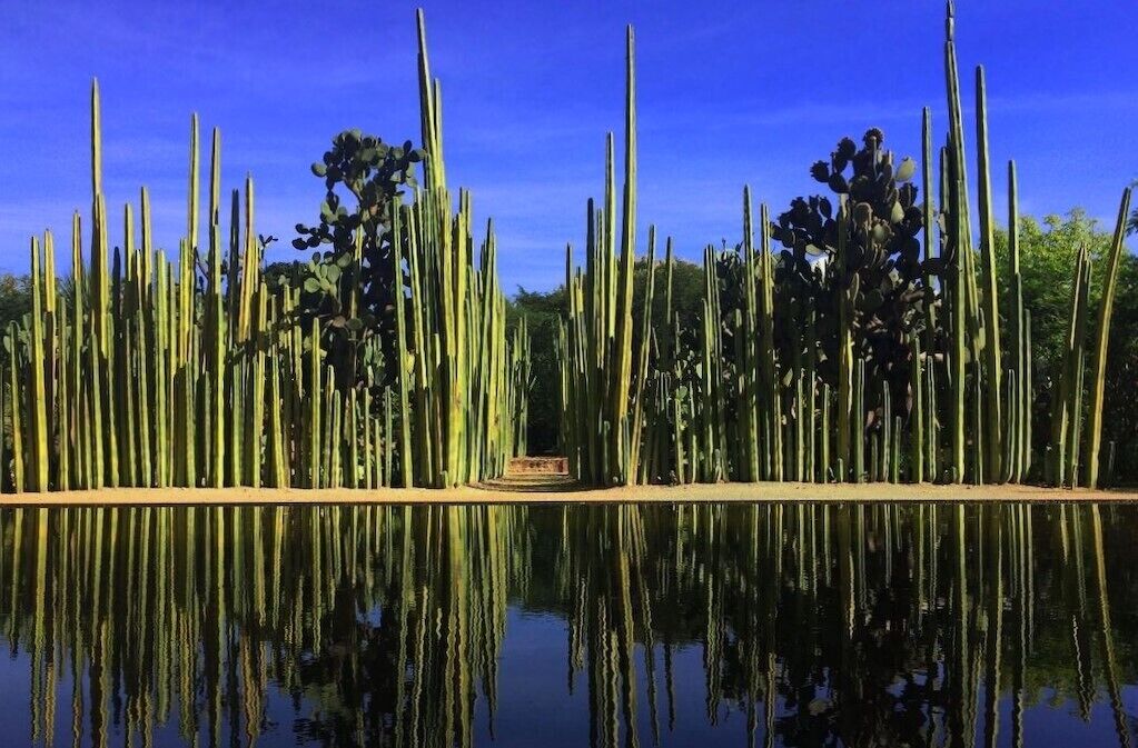 Foto - Hotel Casa Acueducto - Lujo Cultural
