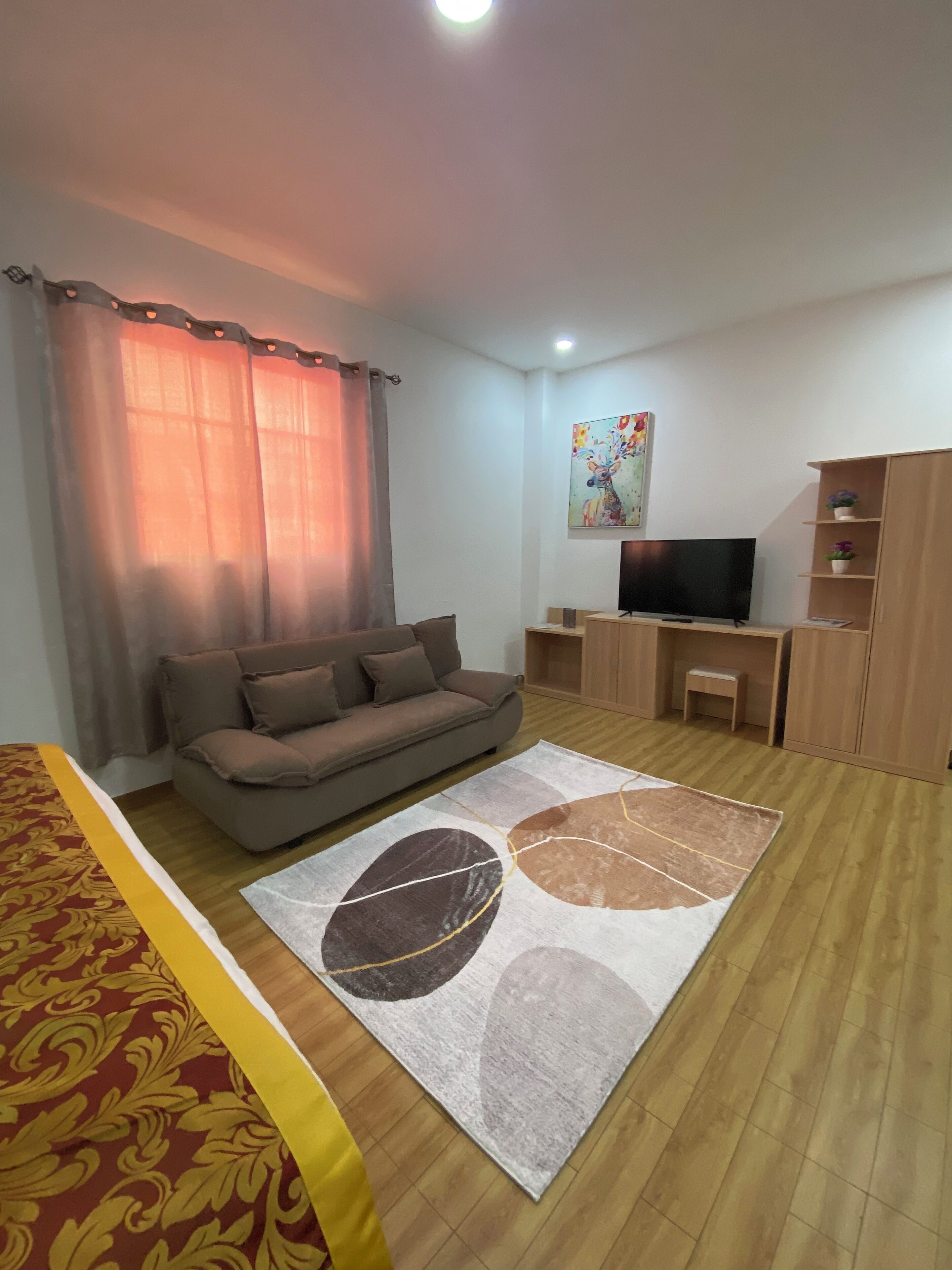 A living room with a sofa, TV, wooden cabinet, and a patterned rug.