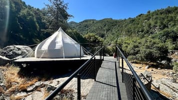 Área da propriedade