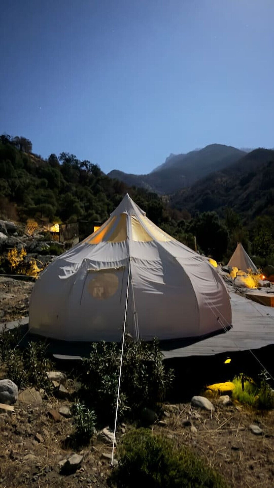 Imagen de perfil del propietario o de la propietaria