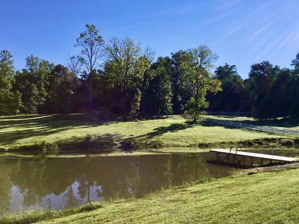 A serene outdoor area with a pond, grassy banks, and a wooden deck.