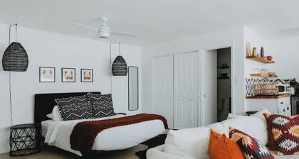 University District Guesthouse-Minutes to Nob Hill