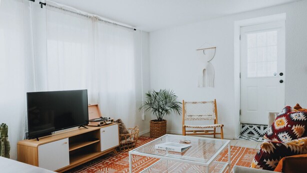 A living room with a TV, a coffee table, a chair, a plant, and a door. - University District Guesthouse-Minutes to Nob Hill (Albuquerque)