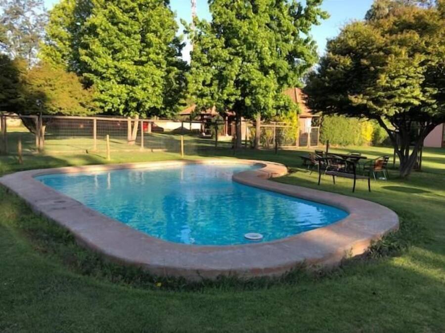 Outdoor pool, open 11:00 AM to 8:00 PM, pool umbrellas, pool loungers