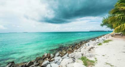Coral Garden by Avantstay Great Location w/ Balcony & Shared Pool