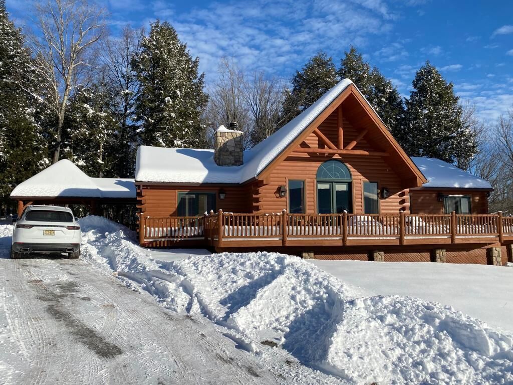 Black Bear Cabin - Beautiful cabin located 5min from Windham Mtn Resort ! 