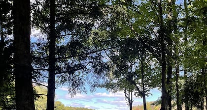 Waterfront camper in Adirondack-like setting
