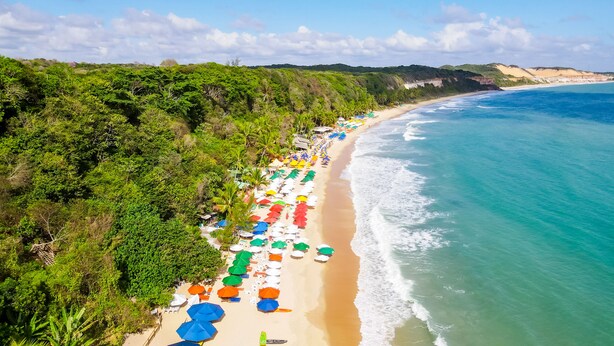 Una playa con hileras de sombrillas y sillas de playa a lo largo de la costa.