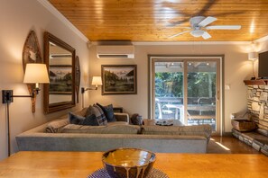 Televisie, een open haard, boeken en een filmbibliotheek