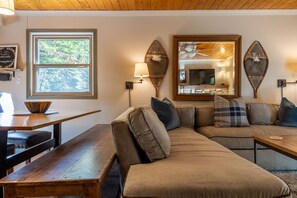TV, fireplace, books, video library