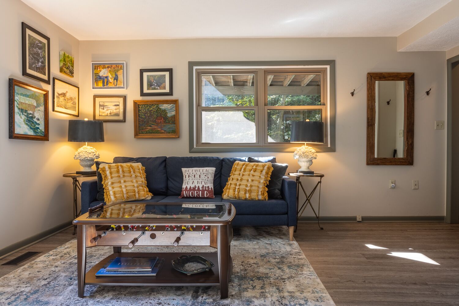 TV, fireplace, books, video library