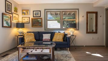TV, fireplace, books, video library