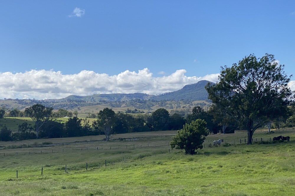 Shire horse and Clydesdale farmstay
