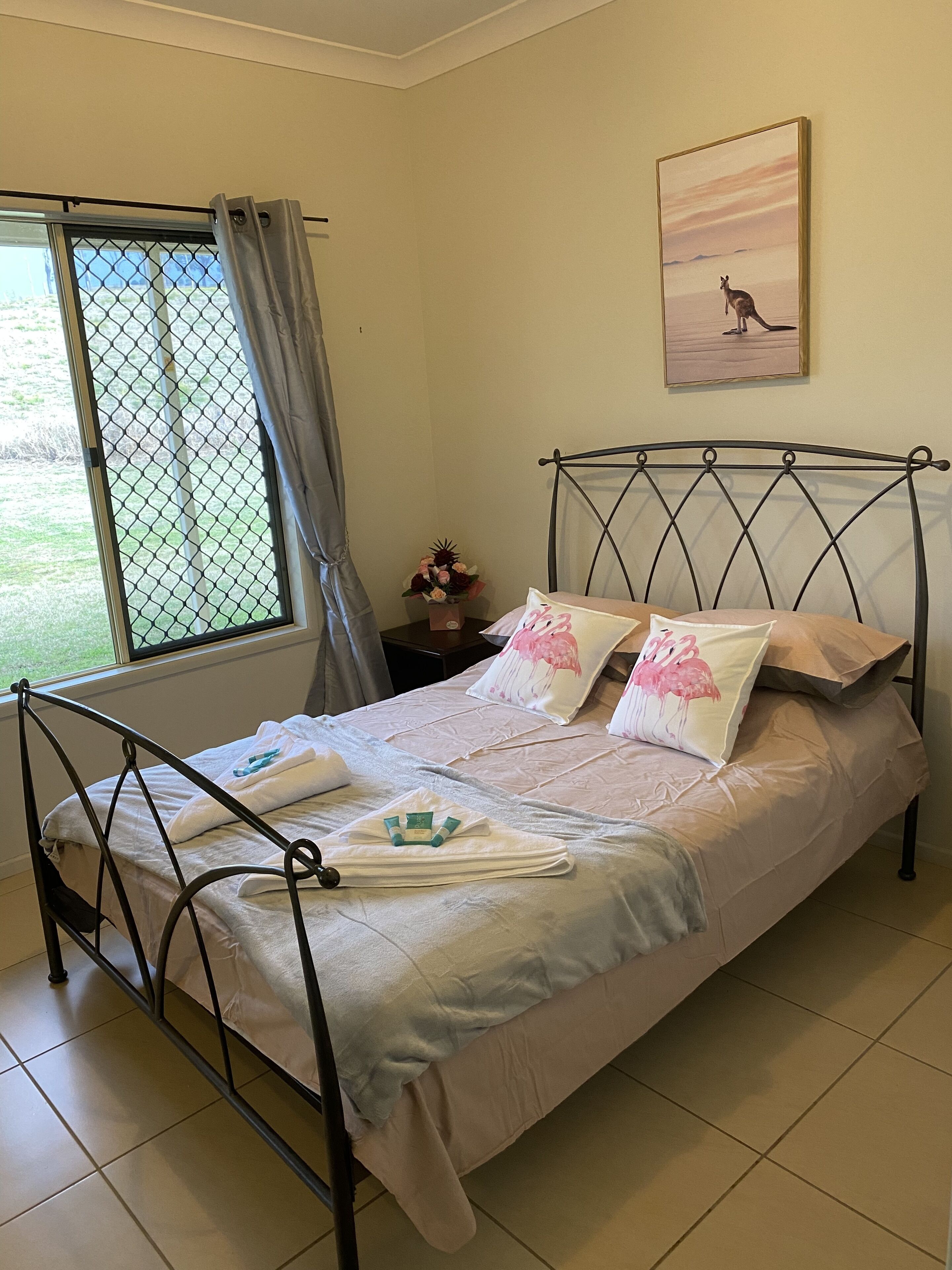 Shire horse and Clydesdale farmstay