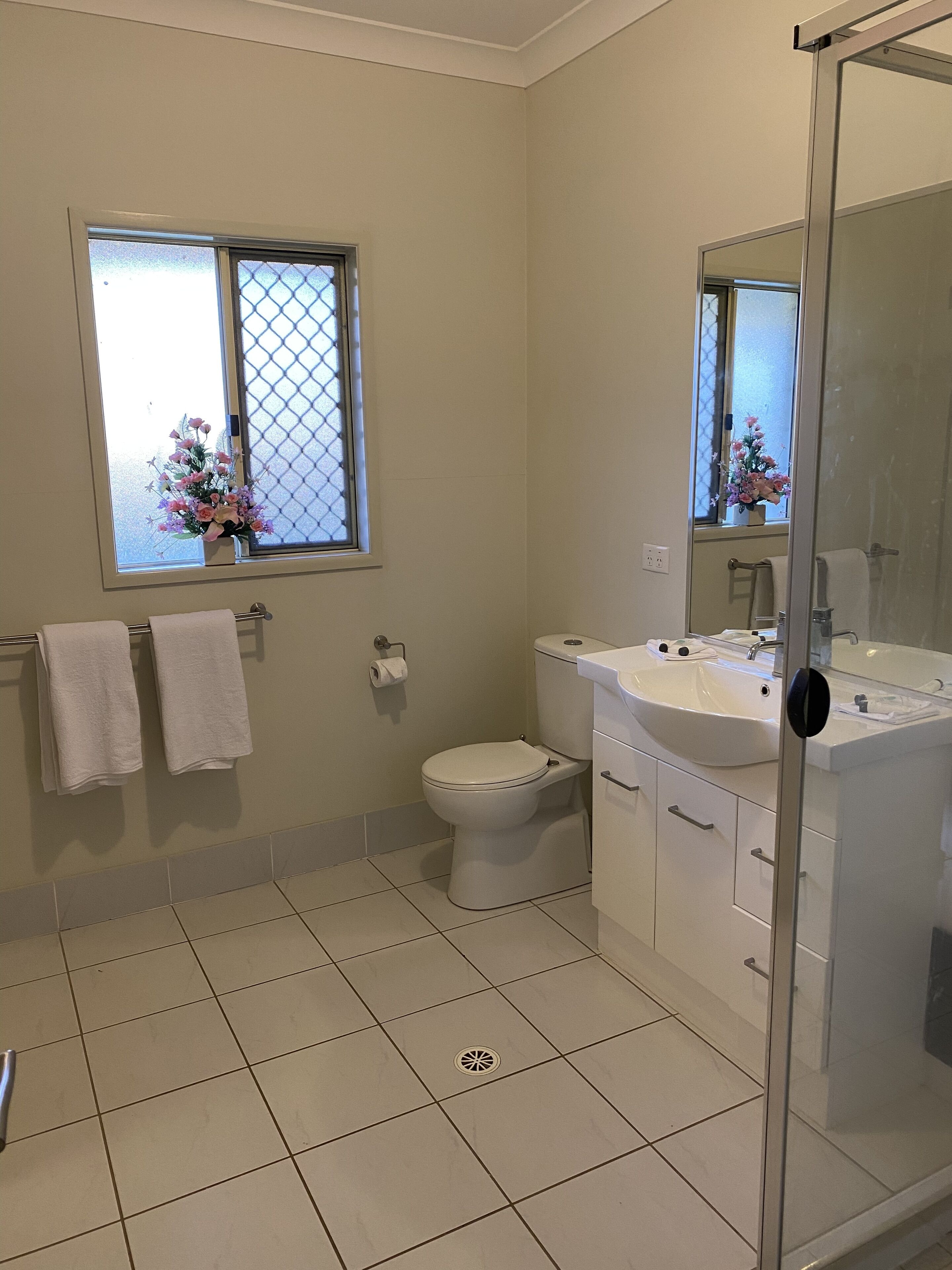 Shire horse and Clydesdale farmstay