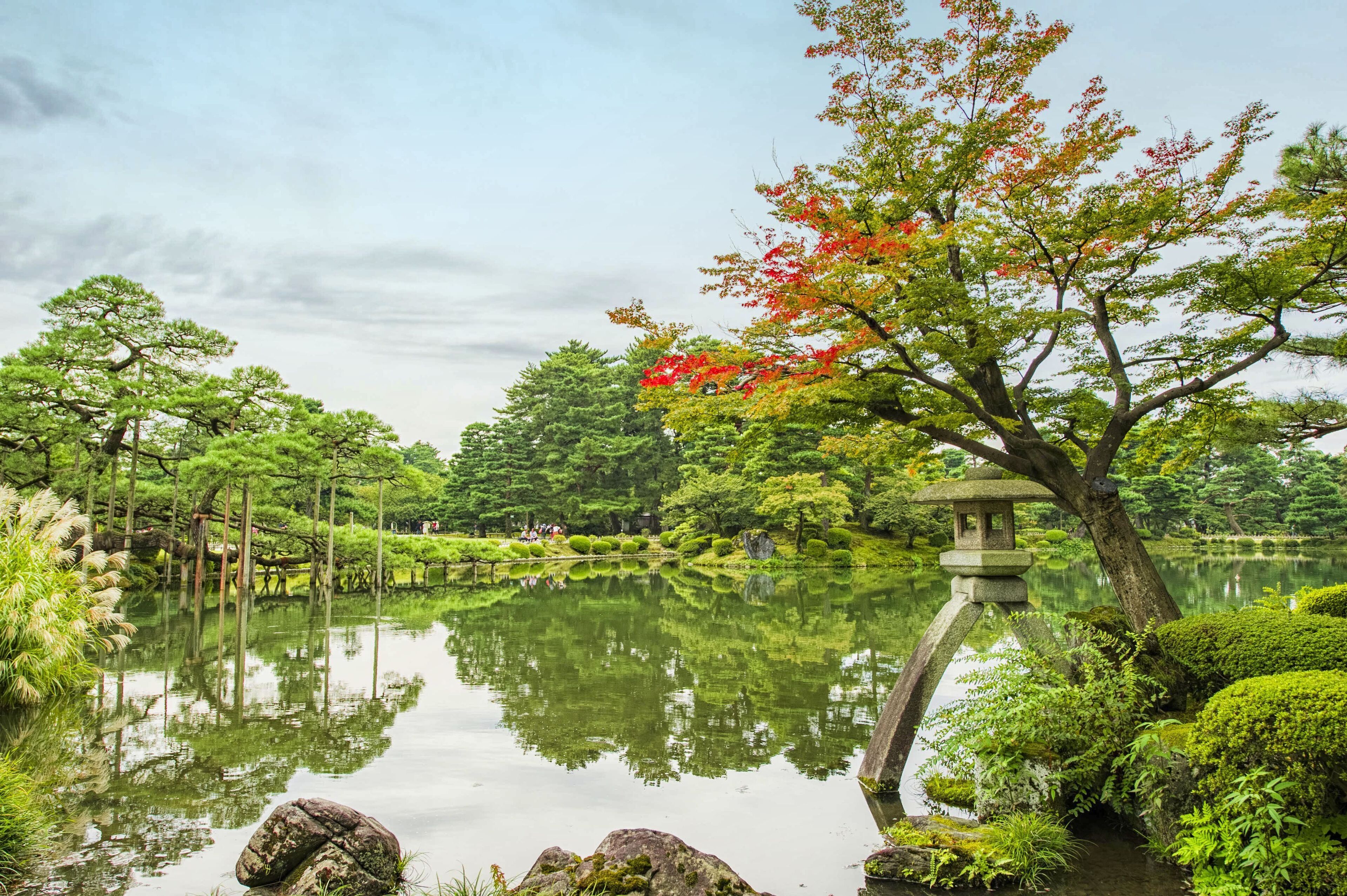 A serene garden with a pond, stone lantern, and lush greenery.