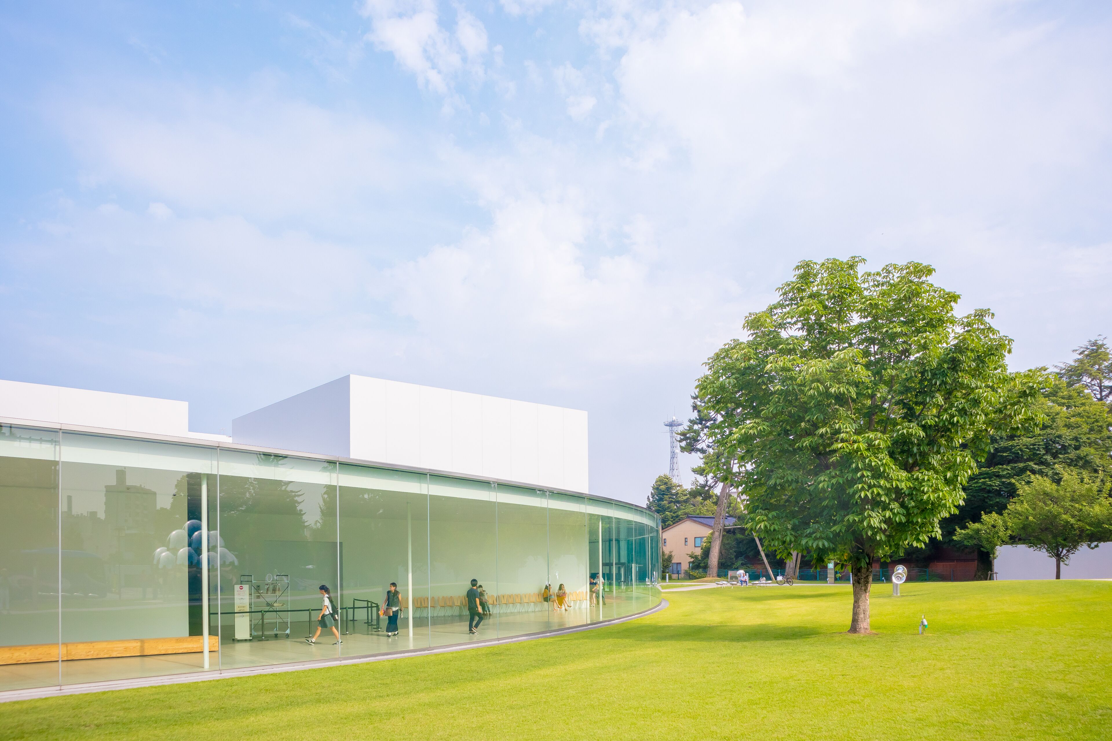 A modern building with a glass facade, a grassy courtyard, and a large tree.