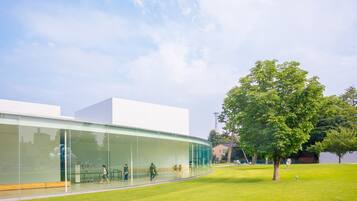 A modern building with a glass facade, a grassy courtyard, and a large tree.