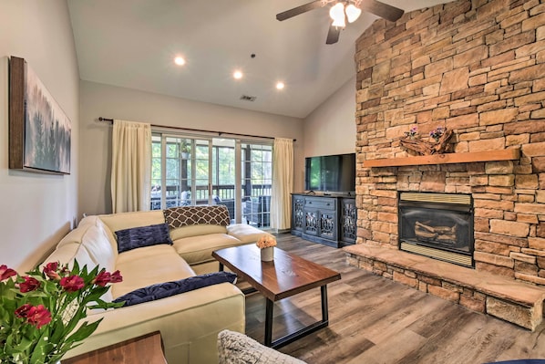 TV, fireplace, books, video library