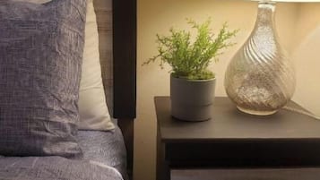 3 多间卧室、办公桌、熨斗/熨衣板、免费 WiFi