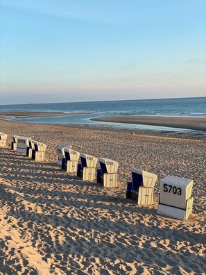 A beach with rows of numbered beach chairs. - Haus Wattblick App. 06 - Wattblick (Sylt)