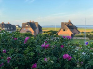 A rural landscape with traditional houses and a field of pink flowers in the foreground. - Haus Wattblick App. 06 - Wattblick (Sylt)
