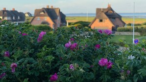Landskab med traditionelle huse og et forgrundsplan med lyserøde blomster.