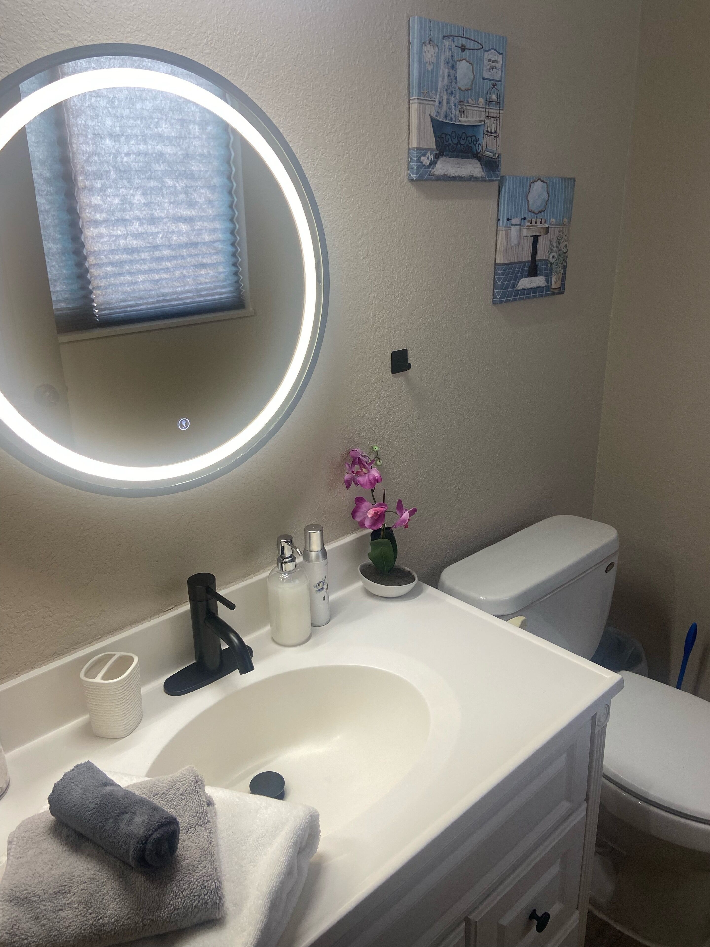 Une salle de bain avec un lavabo blanc, un miroir rond avec un éclairage intégré, des toilettes et une petite orchidée en pot.
