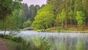 Ein ruhiger See mit einer Holzbrücke, umgeben von dichtem Wald und einem klaren Weg entlang des Ufers.