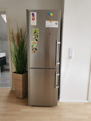 Un refrigerador de acero inoxidable con imanes y notas, una planta en maceta a su lado, y un enchufe de pared blanco.